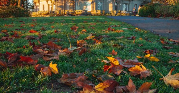 Historic Home - Dry Maple Leaves on Grass Near Pittock Mansion